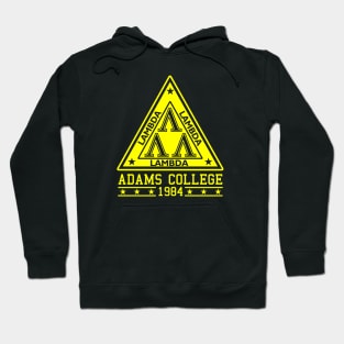 College logo Hoodie